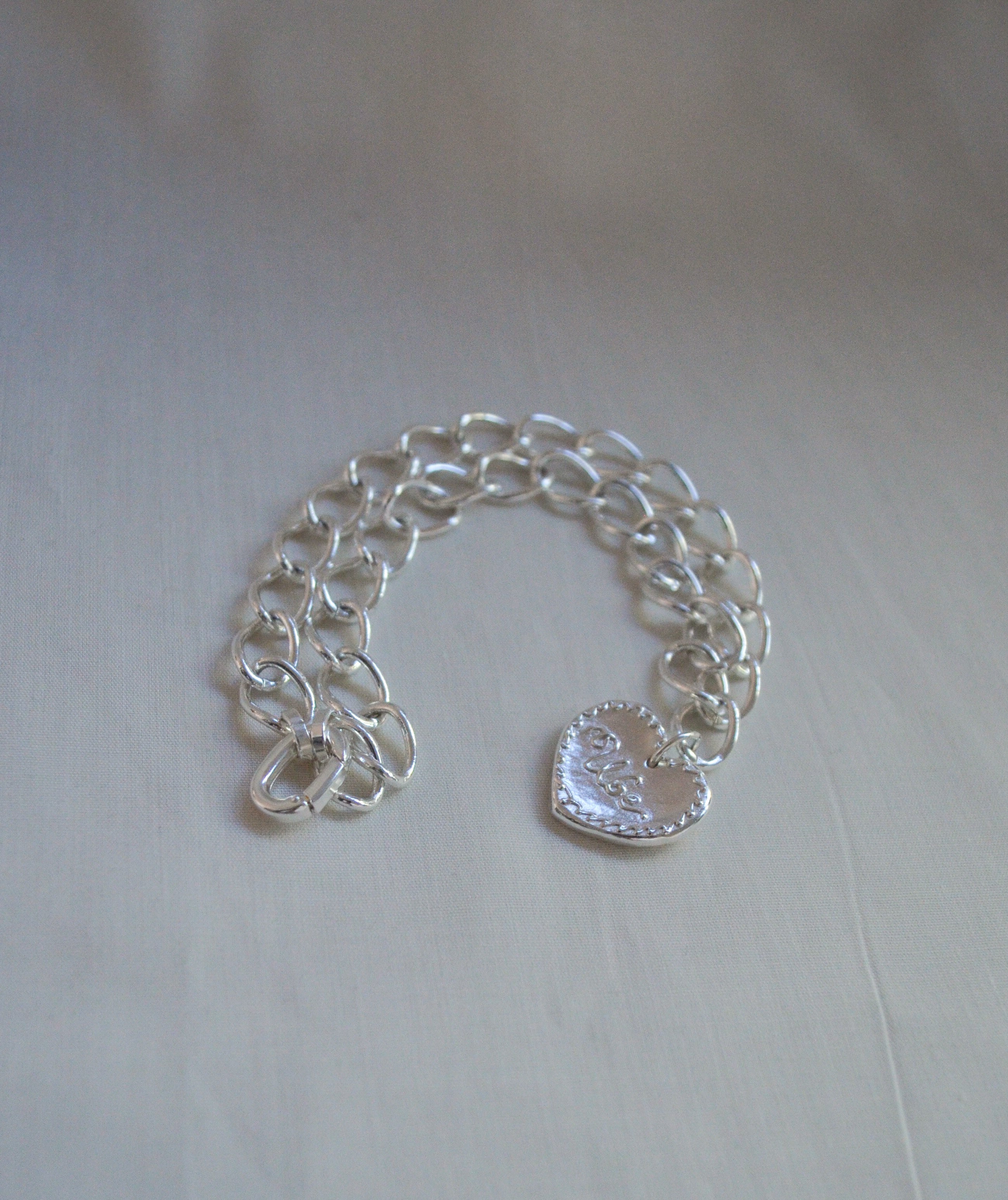 Silver chain + dog tag on a light gray background