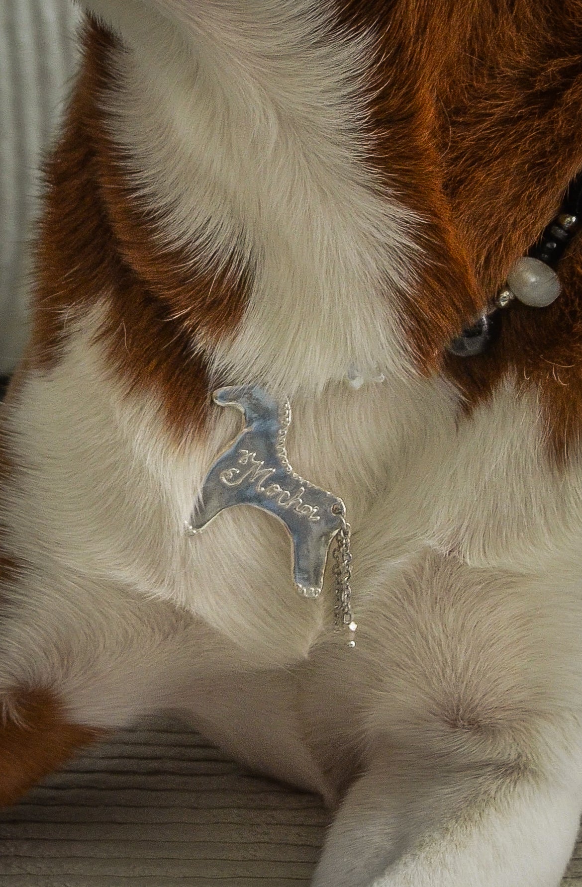 private workshop: silver charm (or pet tag) making