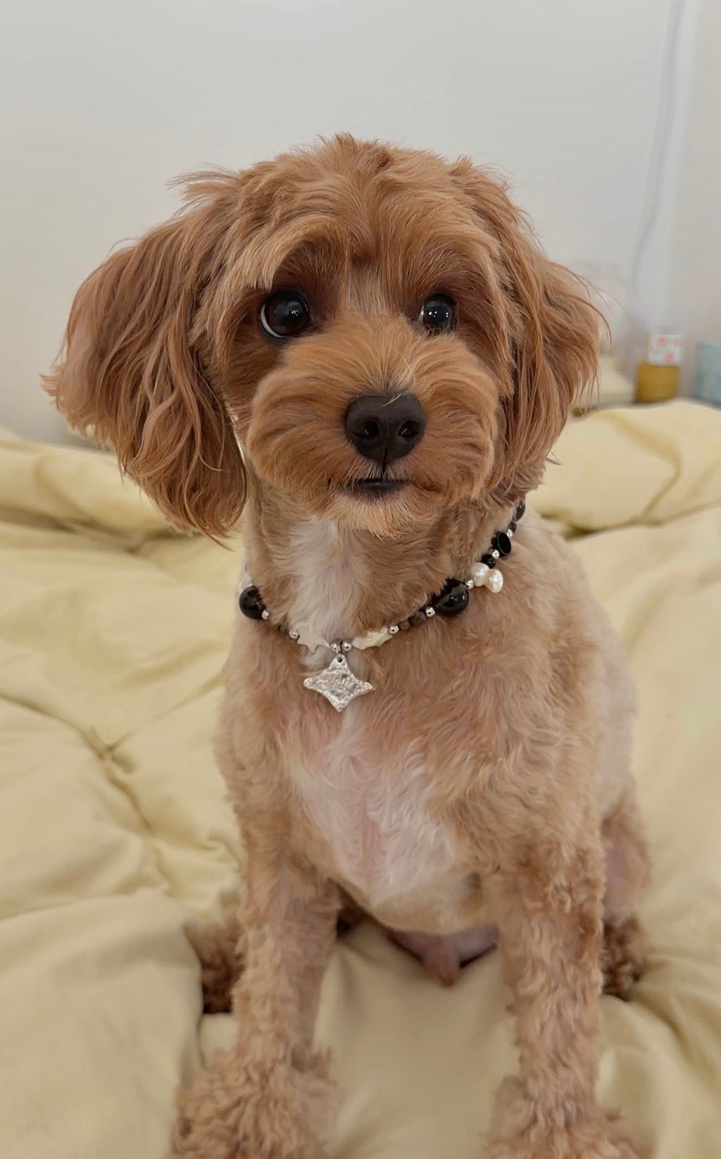 private workshop: silver charm (or pet tag) making