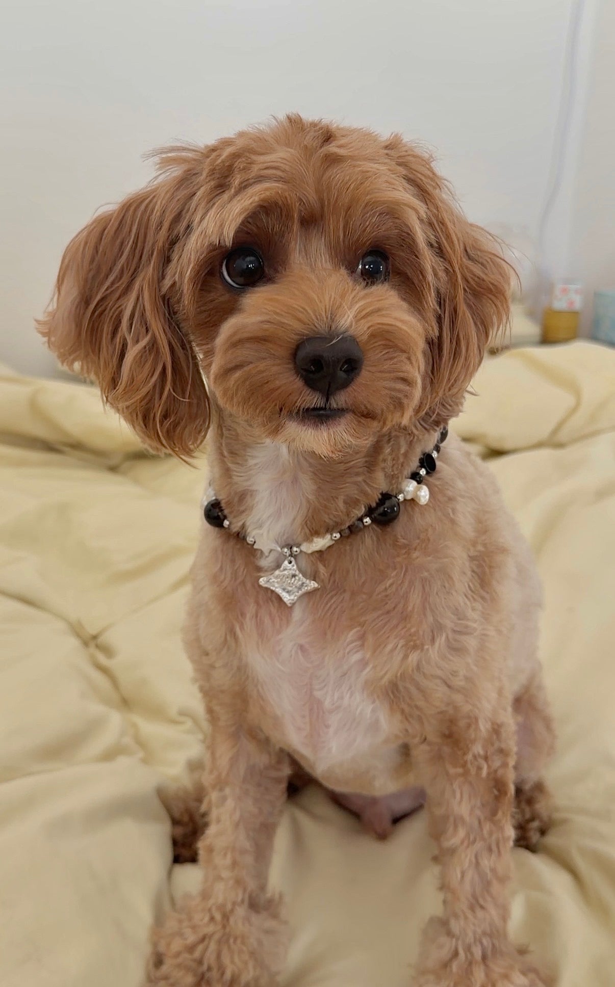 private workshop: silver charm (or pet tag) making