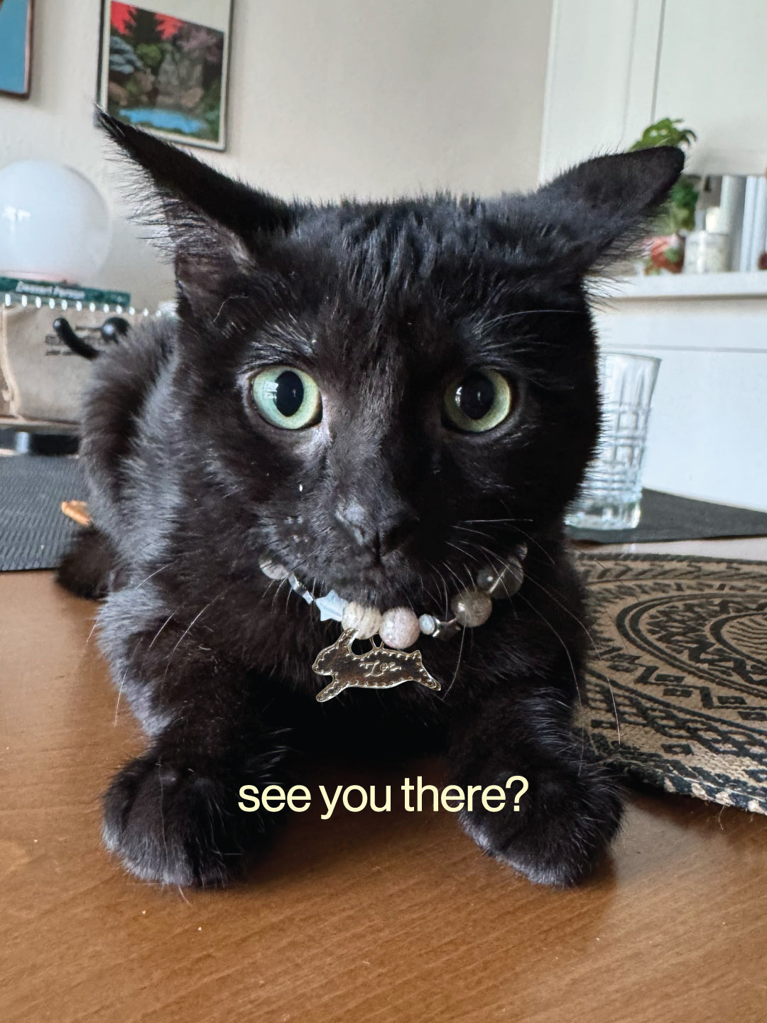 8/29 custom pet jewelry workshop at Little Lions