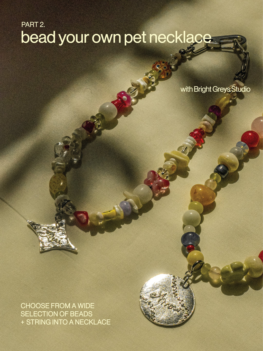 8/29 custom pet jewelry workshop at Little Lions