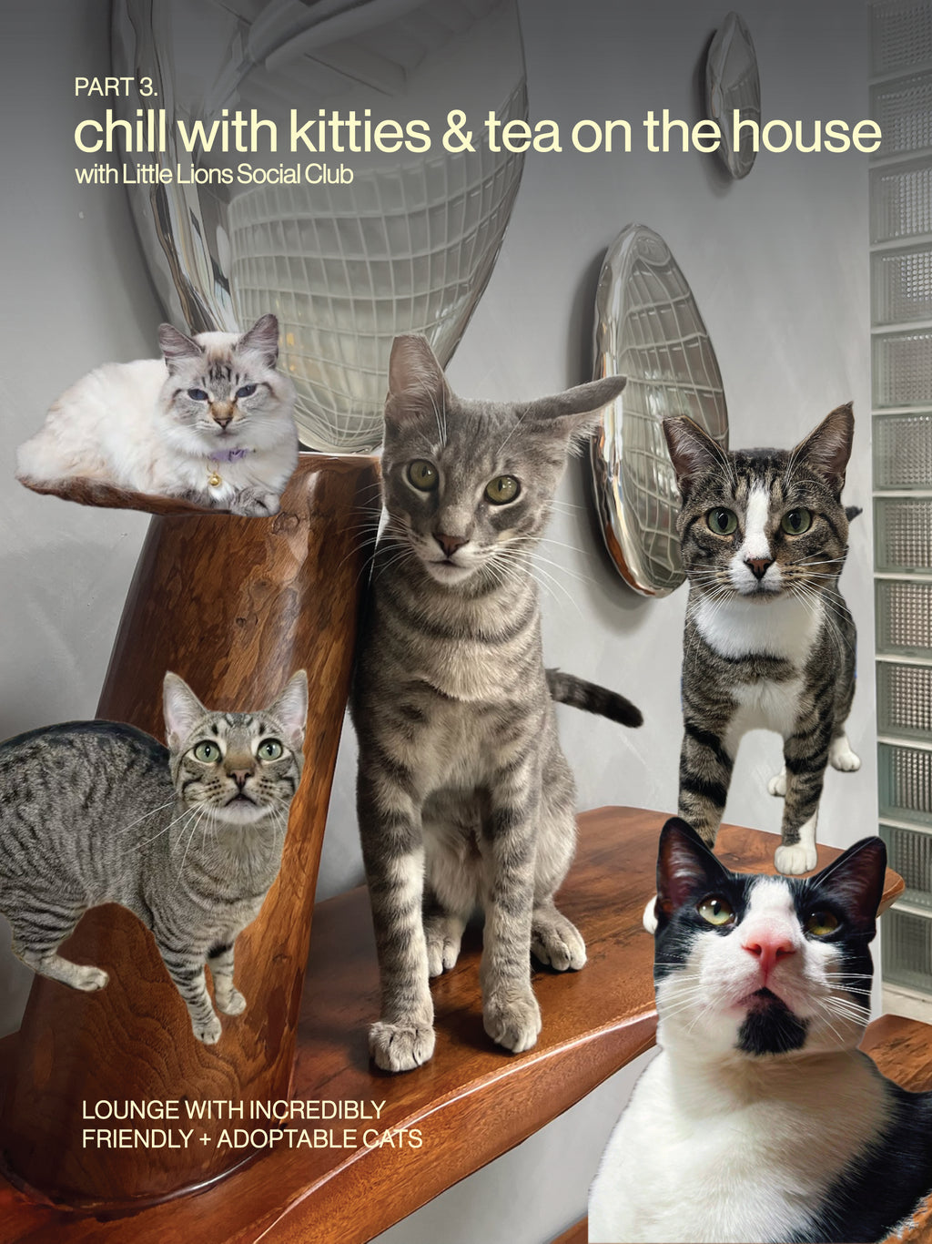8/29 custom pet jewelry workshop at Little Lions