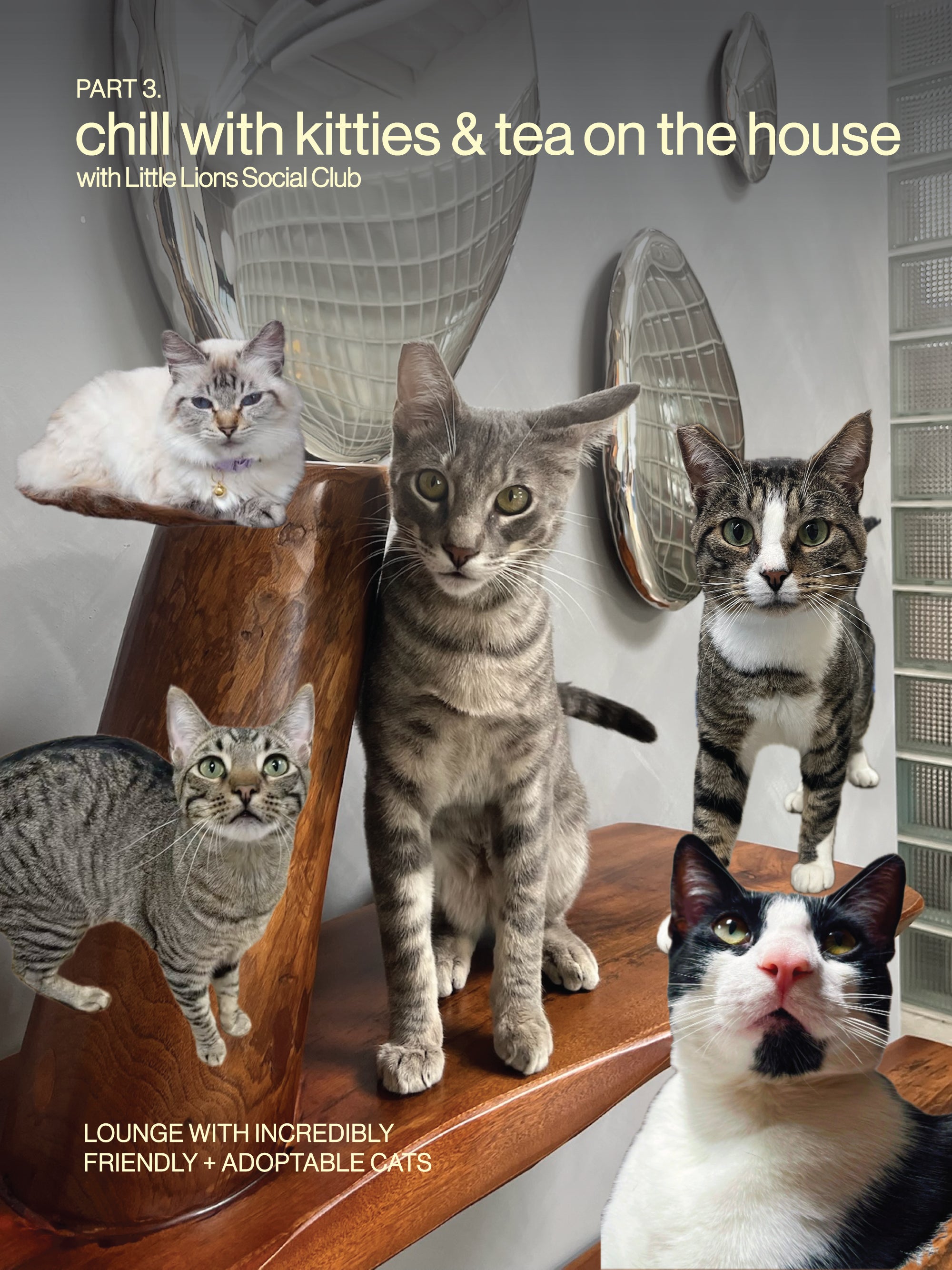 8/29 custom pet jewelry workshop at Little Lions